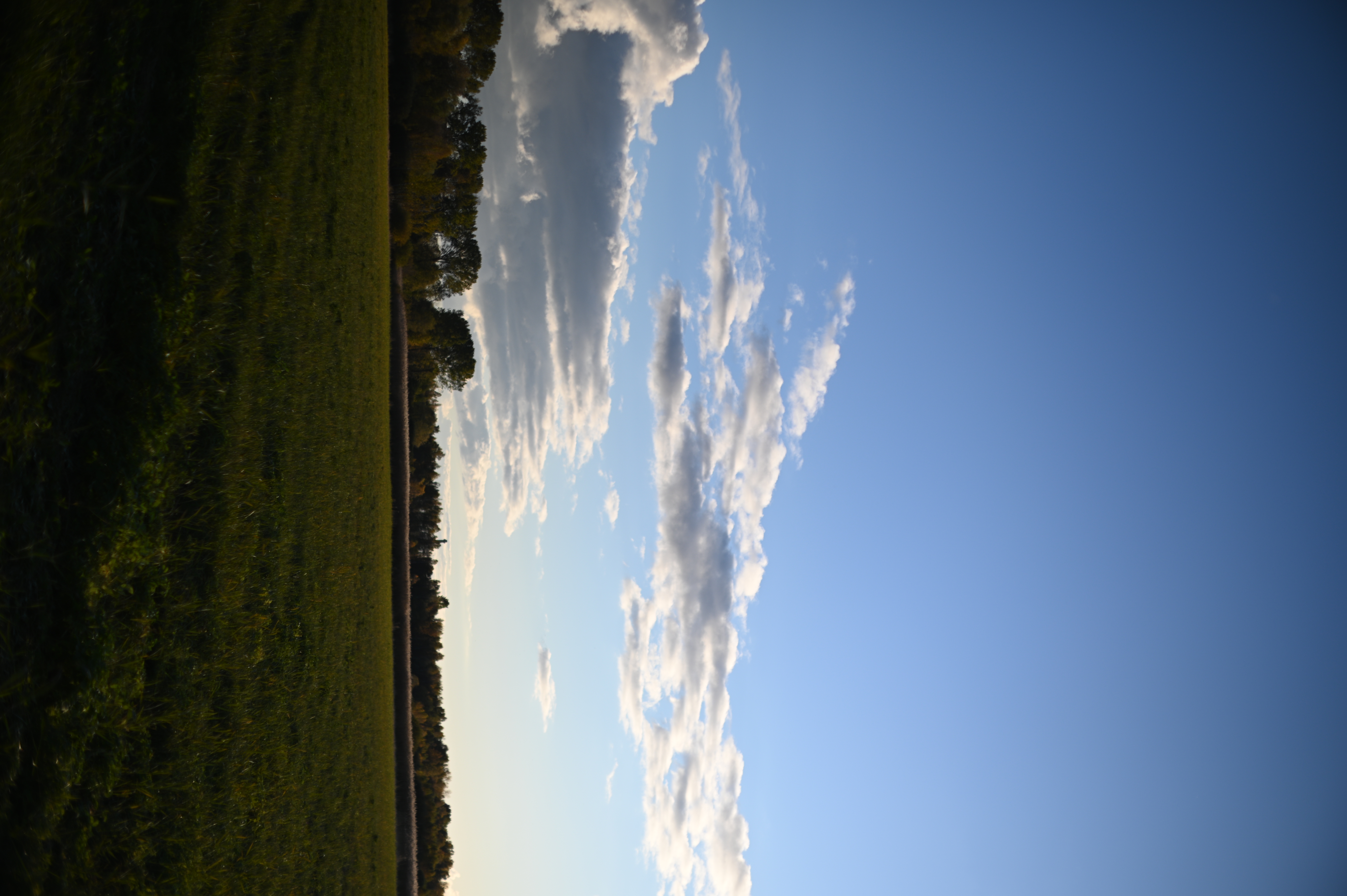 2025/10/18 - walk/DSC_0177.JPG